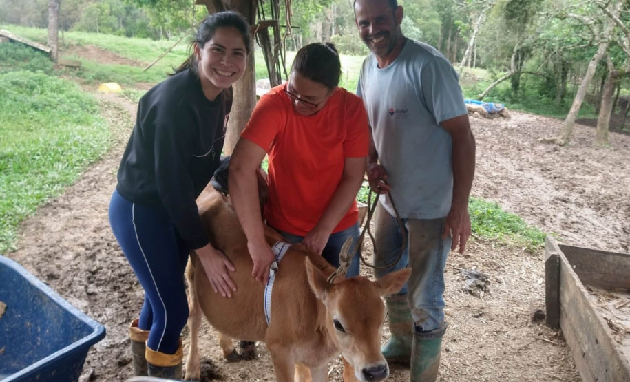 Dieta balanceada aumenta produção e diminui despesas com alimentação do gado leiteiro
