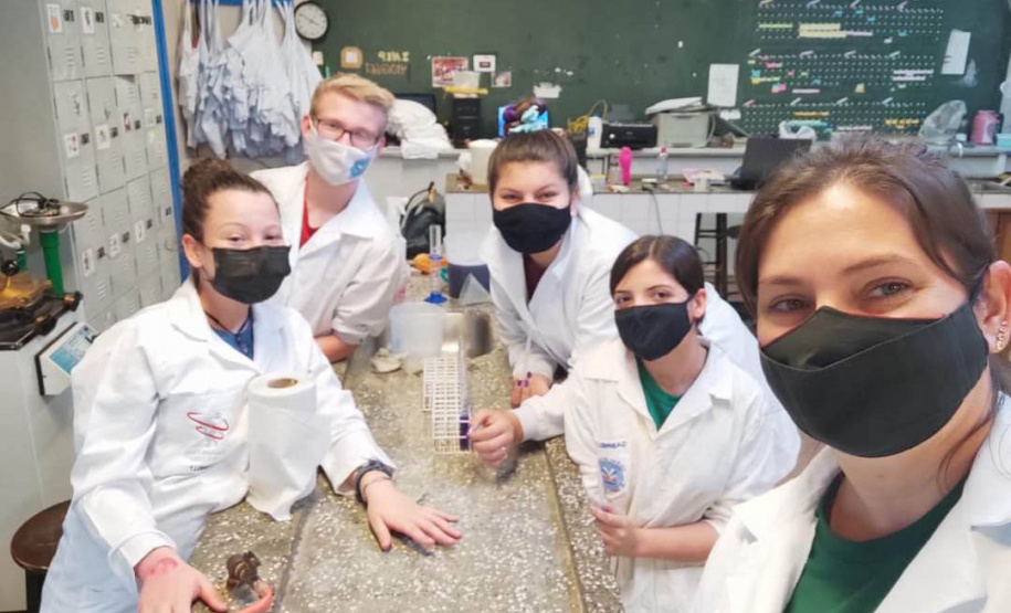 Conheça a professora do Paraná que mantém um celeiro de pesquisadoras no Interior