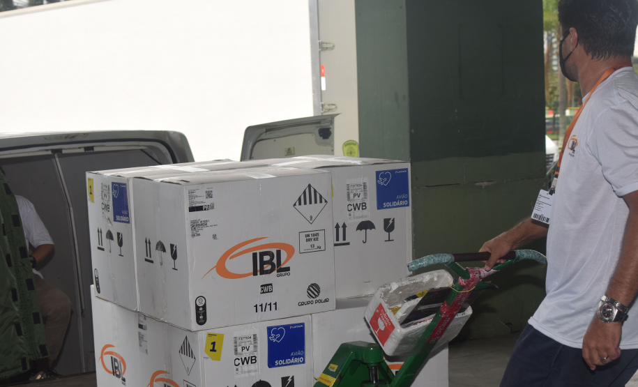 Mais 66 mil vacinas pediátricas chegam ao Paraná nesta terça