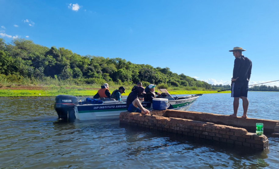 Durante Piracema, Paraná teve cinco forças-tarefas de fiscalização e repovoou rios com mais 770 mil peixes nativos