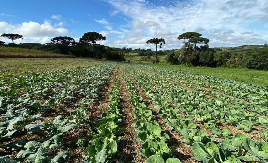 Dia Mundial da Água é comemorado com demonstrações de agricultura sustentável