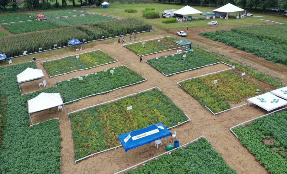 IDR-Paraná apresenta alternativas para uma agricultura mais sustentável e lucrativa nas culturas de feijão e milho