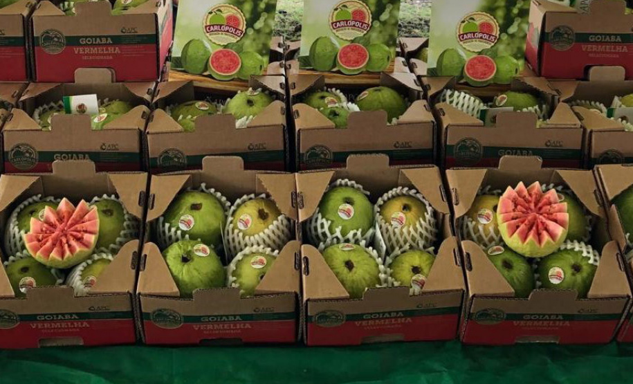 Frutas paranaenses ganham mercado internacional