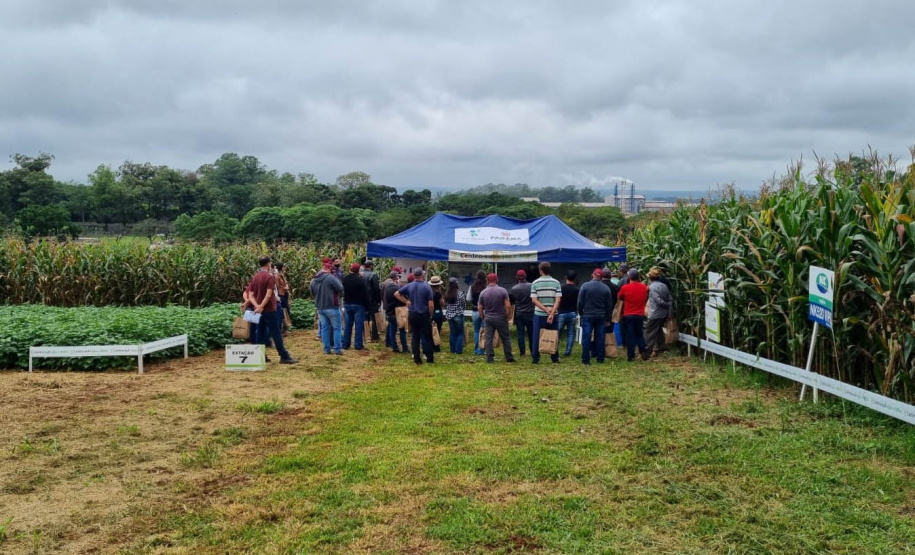 IDR-Paraná apresenta alternativas para uma agricultura mais sustentável e lucrativa nas culturas de feijão e milho