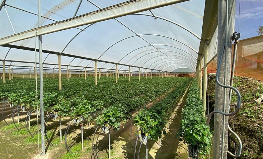 Dia Mundial da Água é comemorado com demonstrações de agricultura sustentável