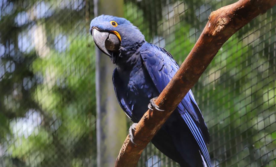 Governo do Paraná apresenta atrativos turísticos do Estado em vitrines nacionais e internacionais