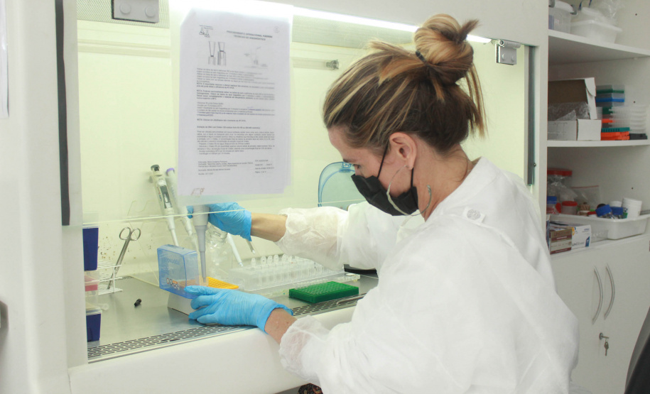 Laboratório da Adapar é credenciado para diagnóstico de Influenza Aviária e Doença de Newcastle por PCR em tempo real