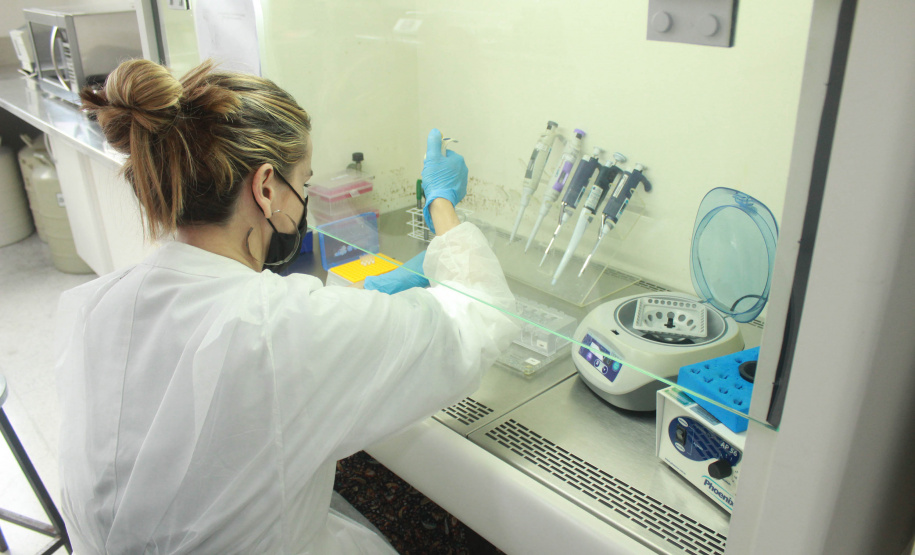 Laboratório da Adapar é credenciado para diagnóstico de Influenza Aviária e Doença de Newcastle por PCR em tempo real