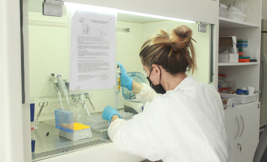 Laboratório da Adapar é credenciado para diagnóstico de Influenza Aviária e Doença de Newcastle por PCR em tempo real