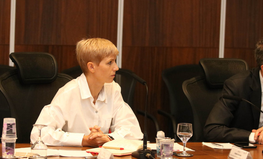 Investimento em infraestrutura paranaense é destaque em encontro do vice-governador com representantes da Suíça