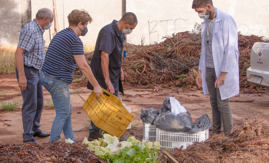 Parceria entre Hospital Universitário e Colégio Agrícola inicia produção de ervas terapêuticas