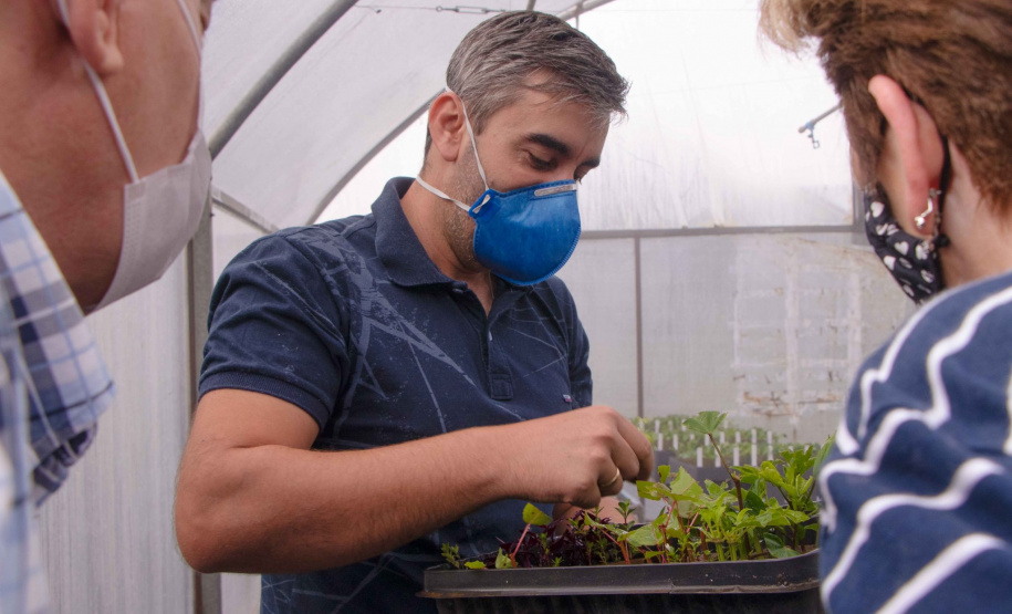Parceria entre Hospital Universitário e Colégio Agrícola inicia produção de ervas terapêuticas