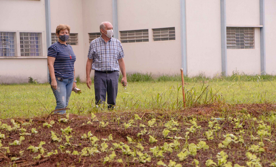 Parceria entre Hospital Universitário e Colégio Agrícola inicia produção de ervas terapêuticas