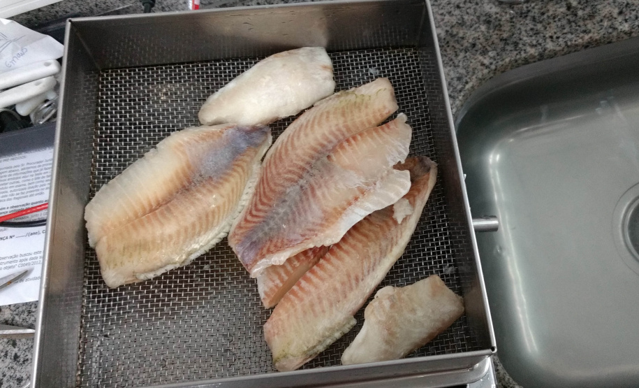 IPEM Paraná alerta consumidores sobre cuidados na compra de pescados