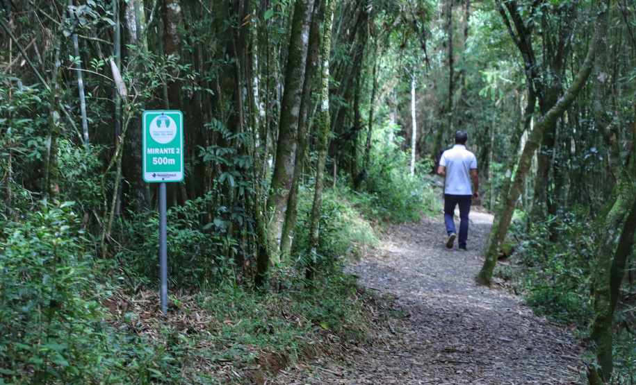 Paraná retoma projeto para regulamentar ecoturismo em Unidades de Conservação