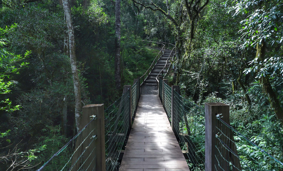Paraná retoma projeto para regulamentar ecoturismo em Unidades de Conservação