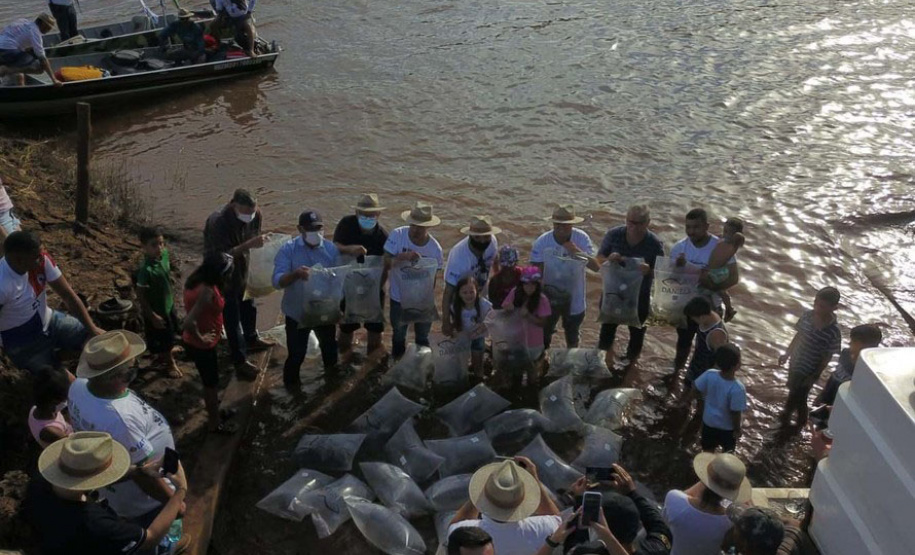 Durante Piracema, Paraná teve cinco forças-tarefas de fiscalização e repovoou rios com mais 770 mil peixes nativos