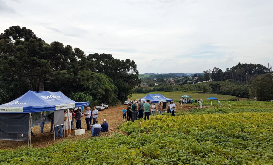 23º Semana de Campo Ponta Grossa