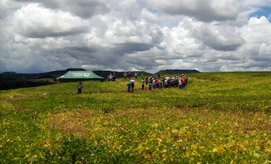23º Semana de Campo Ponta Grossa