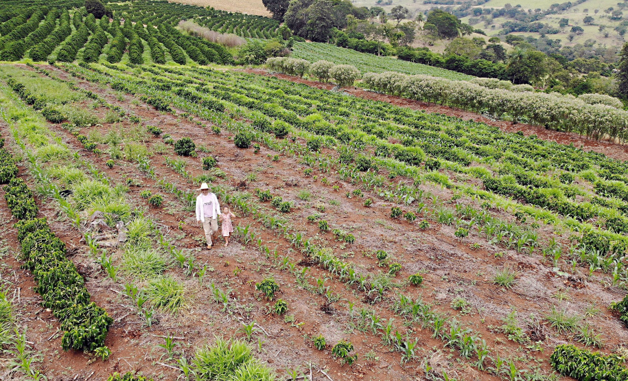 Com juros subsidiados pelo Estado, Banco do Agricultor muda a realidade dos paranaenses
