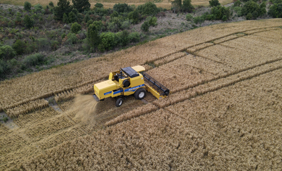 Boletim Agro