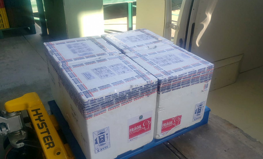 Estado recebe vacinas contra a Covid-19 para dose de reforço