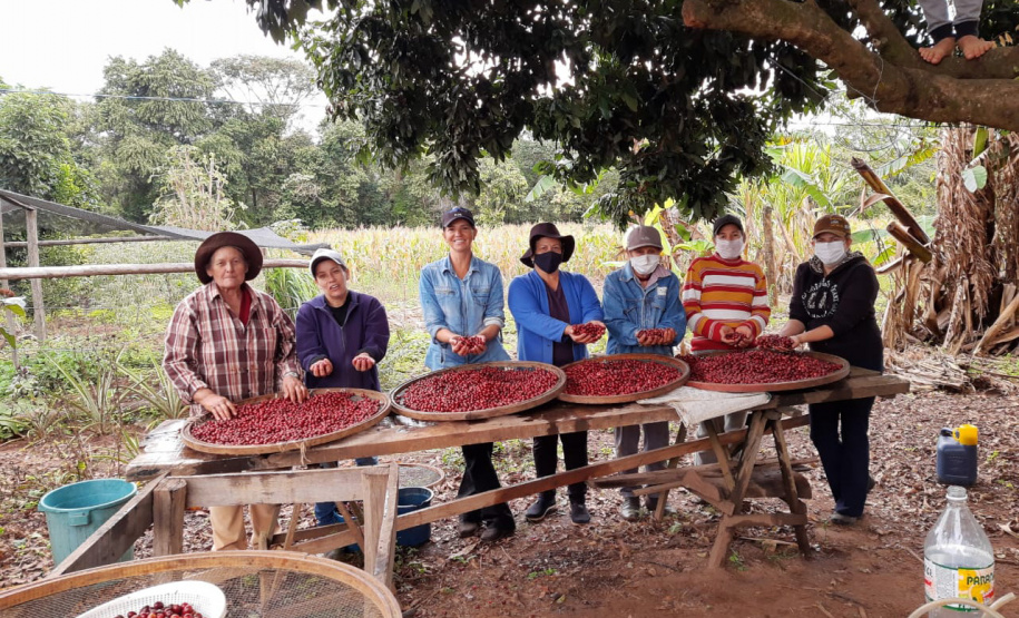 Mulheres do Café -