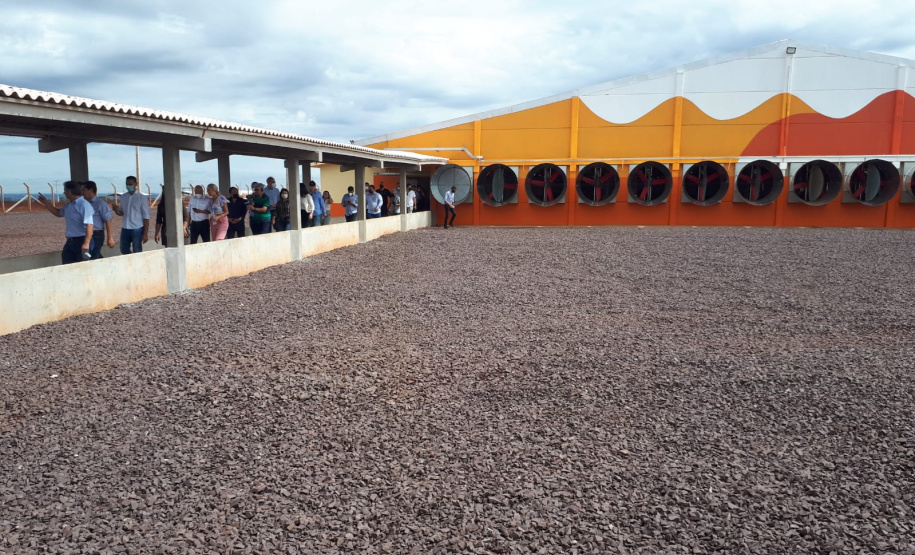 Copacol inaugura unidade de produção de suínos de R$ 120 milhões em Jesuítas