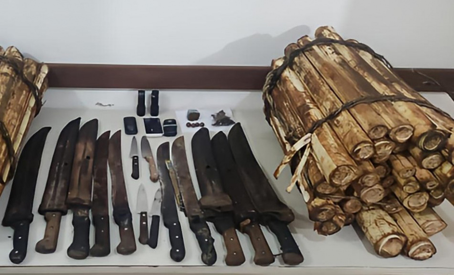 PM descobre acampamento em área de preservação e flagra extração ilegal de Palmito Juçara em Guaratuba