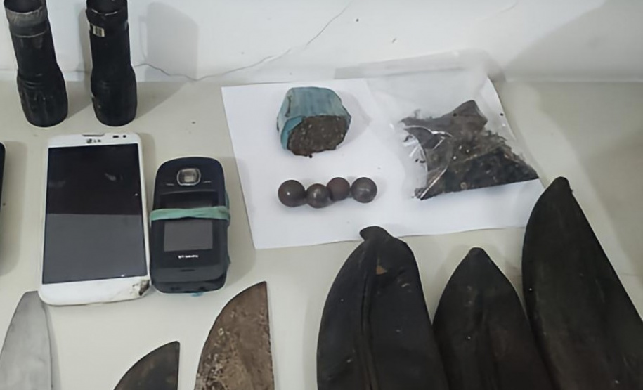 PM descobre acampamento em área de preservação e flagra extração ilegal de Palmito Juçara em Guaratuba