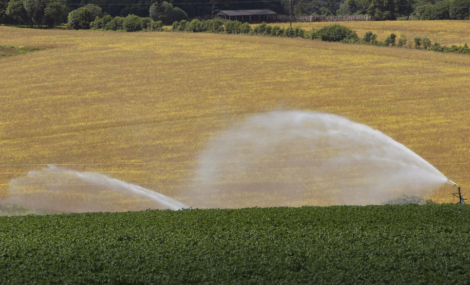 Irrigantes e aquicultores devem atualizar cadastro para manter desconto na conta de luz