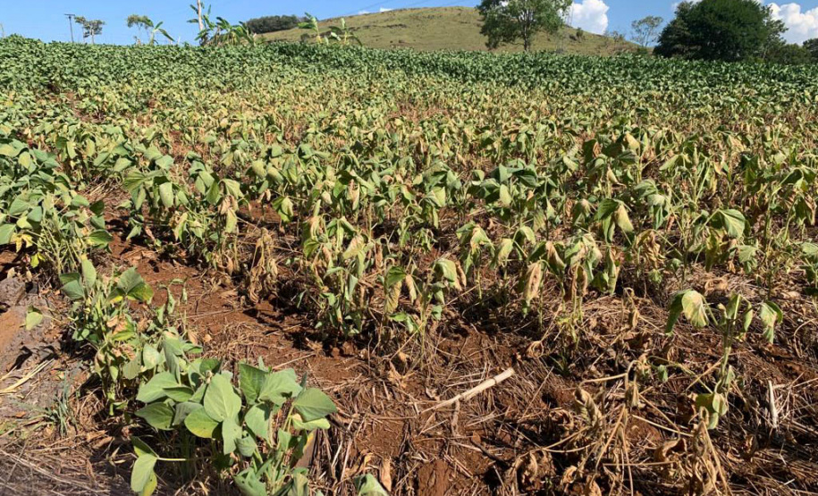 Projeto de Lei prevê aprovação de crédito para municípios atingidos por estiagem