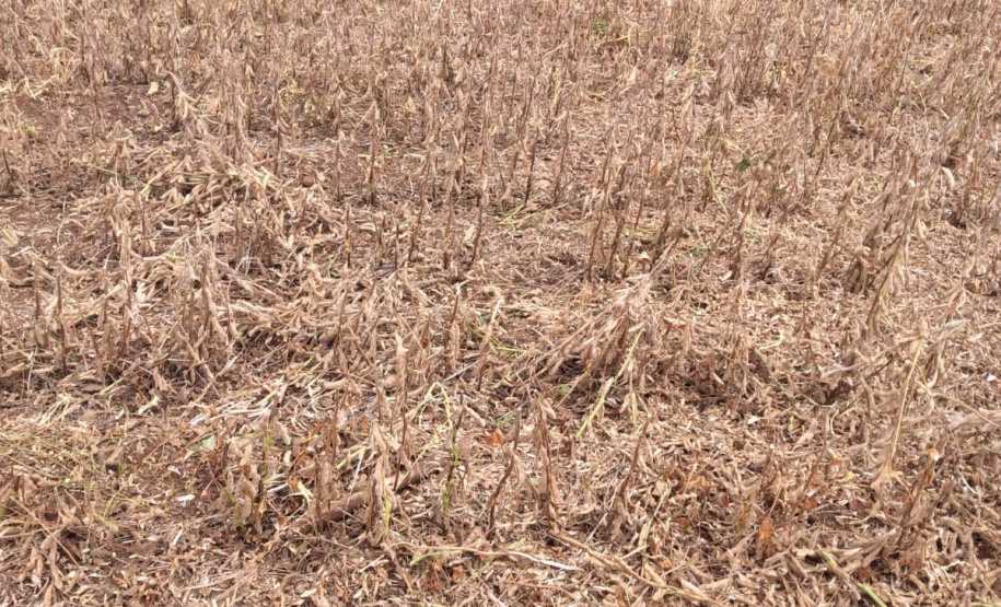 Projeto de Lei prevê aprovação de crédito para municípios atingidos por estiagem