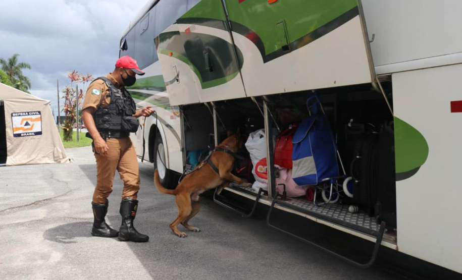 Rodovias estaduais terão reforço de policiamento durante o Feriado de Tiradentes no Paraná