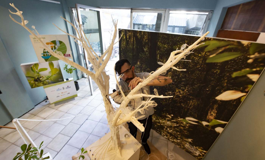 Feriado tem estreia do Balé Guaíra, atividade coletiva no MUPA e museus de portas abertas