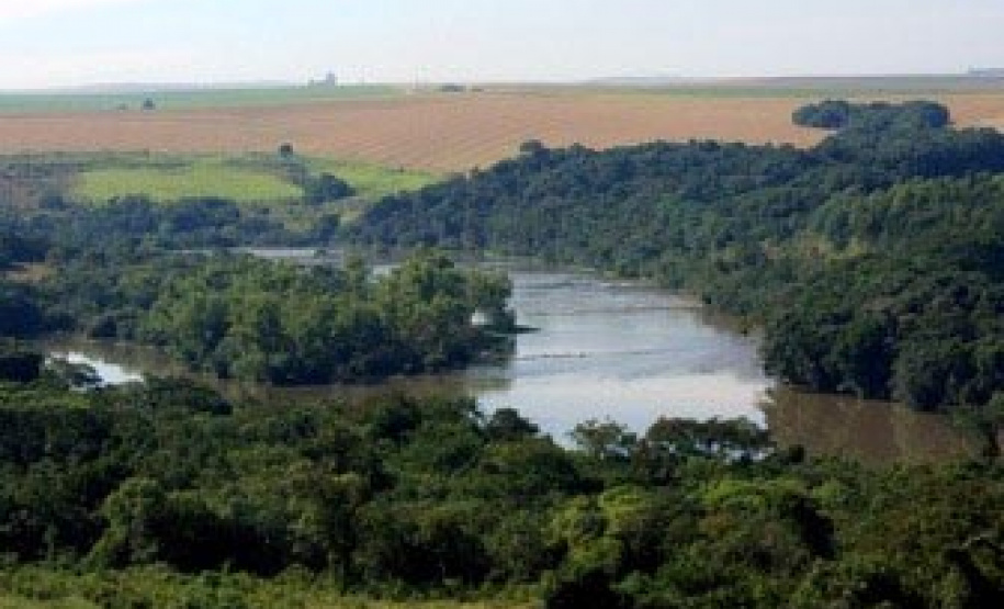 Produtores desconhecem bases da agricultura conservacionista, aponta estudo