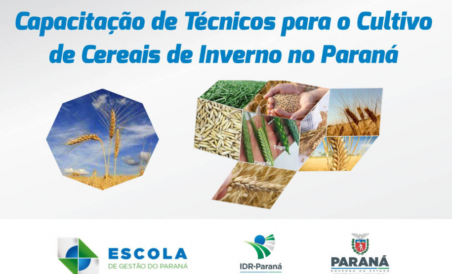 Estado promove curso de preparação para o cultivo de cereais de inverno