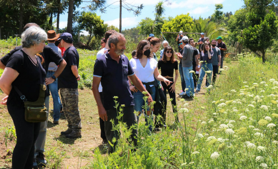 Cestas Solidárias viabilizam produtor familiar de orgânicos e beneficiam consumidores