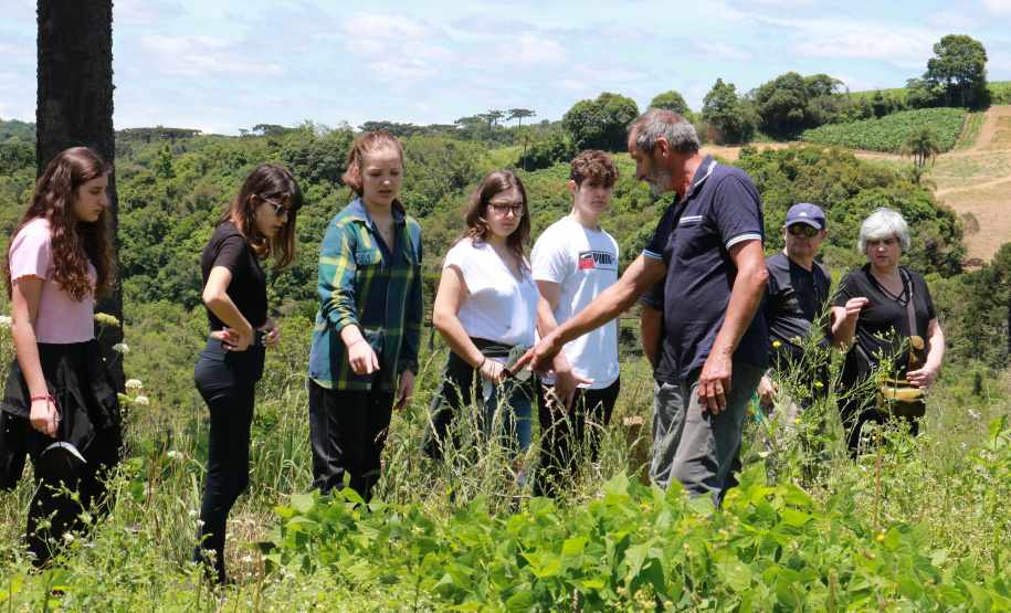 Cestas Solidárias viabilizam produtor familiar de orgânicos e beneficiam consumidores