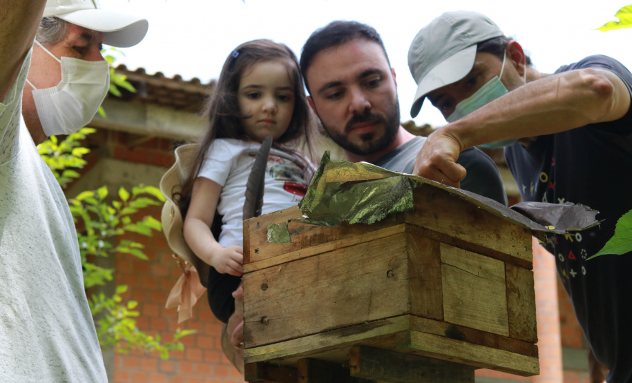 Cestas Solidárias viabilizam produtor familiar de orgânicos e beneficiam consumidores