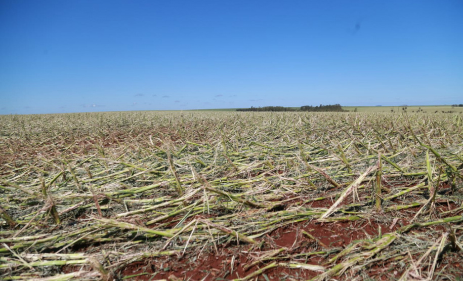 Estado envia ajuda humanitária a cidades do Oeste e Noroeste atingidas por temporais