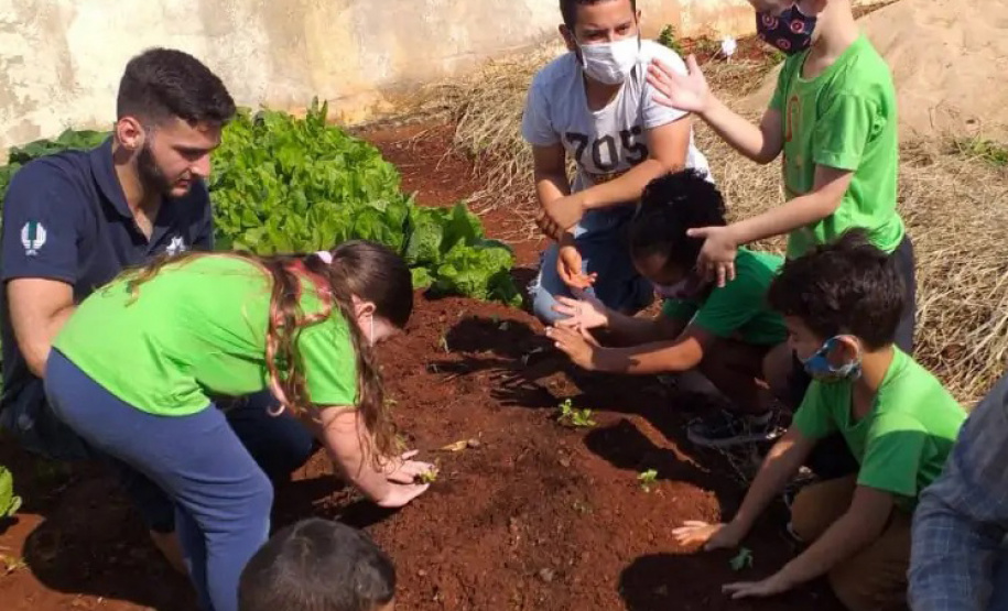 Projeto da UEL incentiva adoção da compostagem e horta comunitária em escolas municipais da região