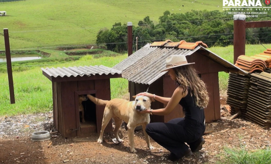 Educação lança minidocumentário sobre intercambistas do Ganhando o Mundo