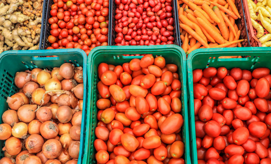 Paraná ganha a partir desta sexta-feira mapa estadual de feiras orgânicas e agroecológicas