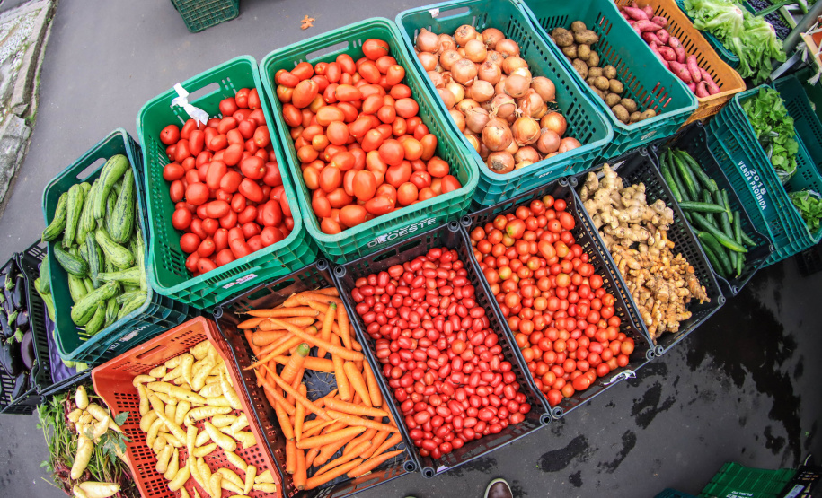 Paraná ganha a partir desta sexta-feira mapa estadual de feiras orgânicas e agroecológicas
