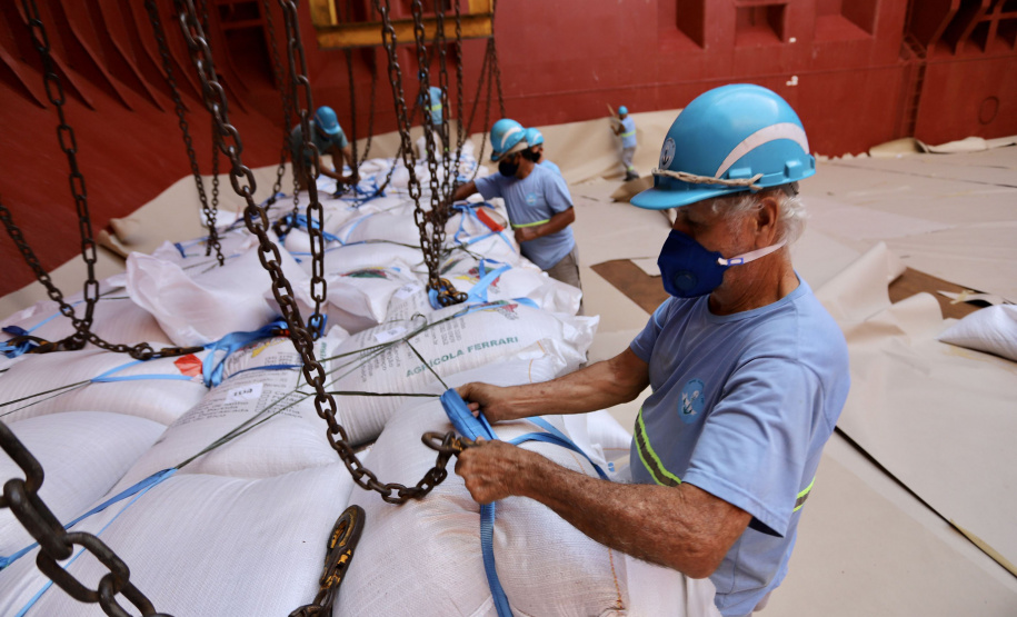 Portos são maiores responsáveis pelos empregos em Paranaguá e Antonina