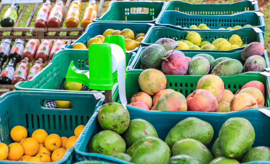 Paraná ganha a partir desta sexta-feira mapa estadual de feiras orgânicas e agroecológicas