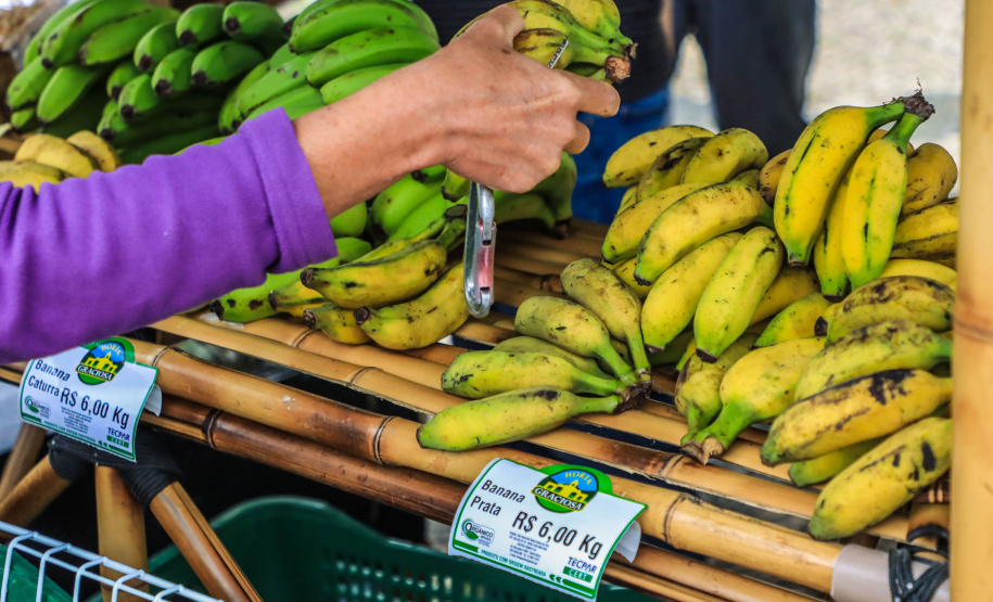 Paraná ganha a partir desta sexta-feira mapa estadual de feiras orgânicas e agroecológicas