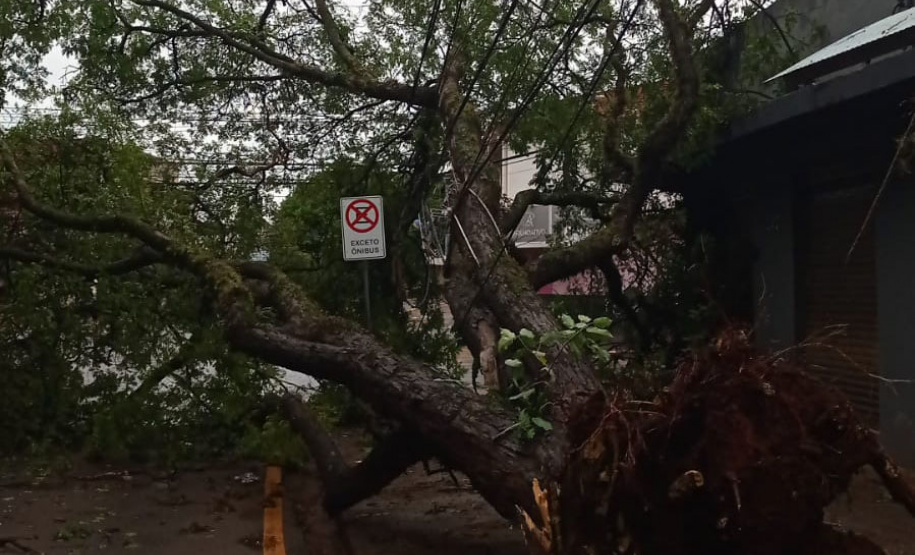 Após fortes chuvas, equipes da Copel trabalham em todo o Estado para recompor rede de energia