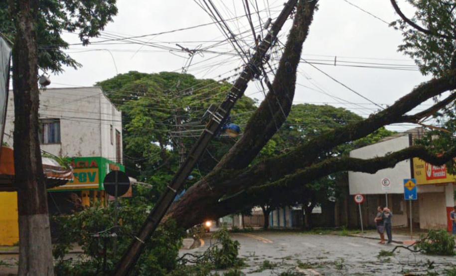 Após fortes chuvas, equipes da Copel trabalham em todo o Estado para recompor rede de energia
